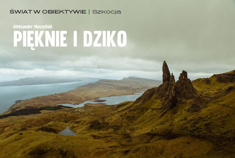 Losowy darmowy artykuł